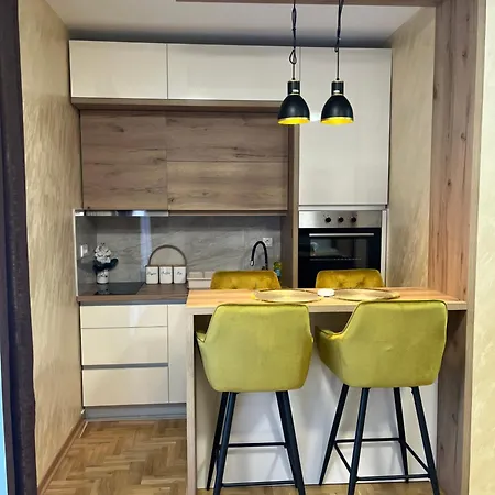 Golden Ss 公寓 Vrnjačka Banja