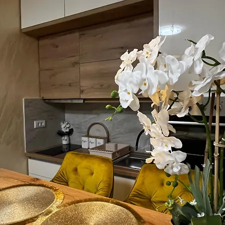 Golden Ss Врнячка-Баня