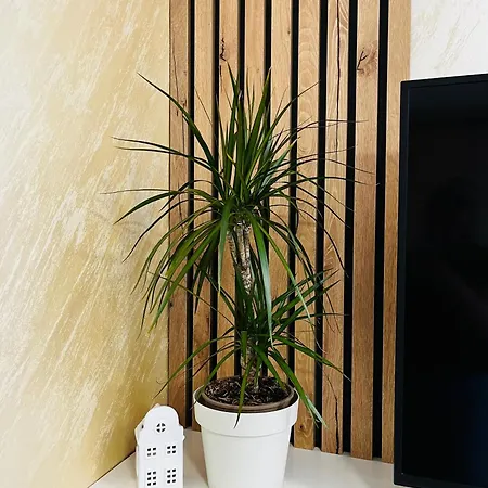 Appartement Golden Ss
