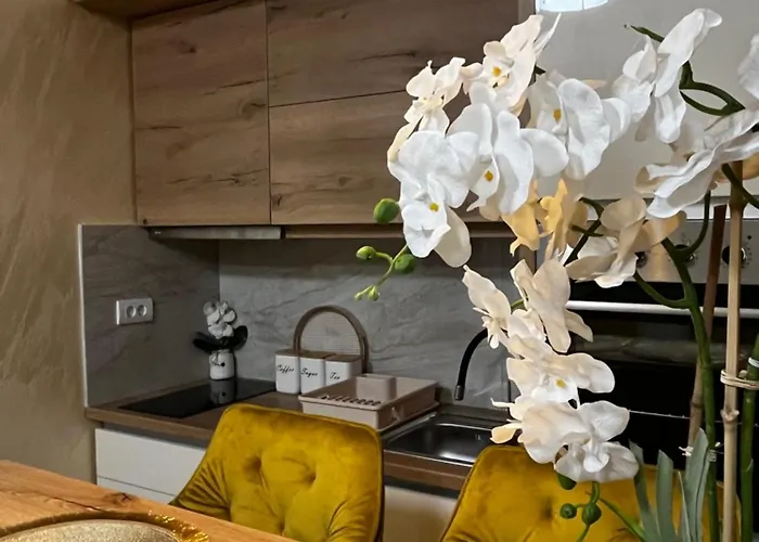 Golden Ss Vrnjačka Banja